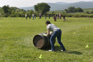 Wein und Winzer